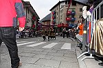 Gara delle Bighe 2011-7856